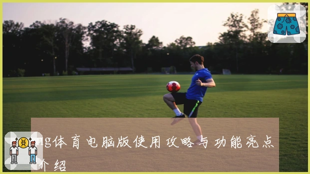 ng体育电脑版使用攻略与功能亮点介绍