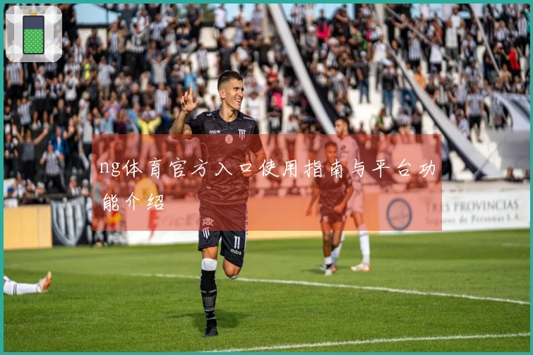 ng体育官方入口使用指南与平台功能介绍