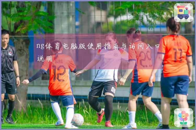ng体育电脑版使用指南与访问入口说明