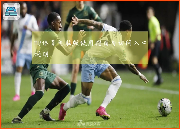 ng体育电脑版使用指南与访问入口说明