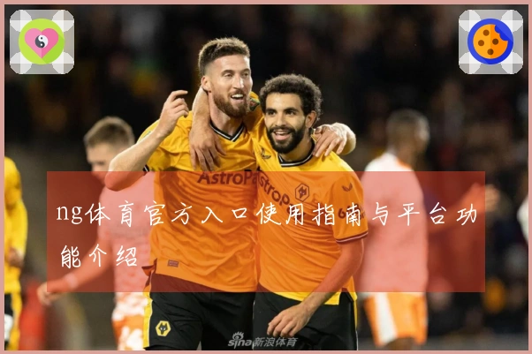 ng体育官方入口使用指南与平台功能介绍