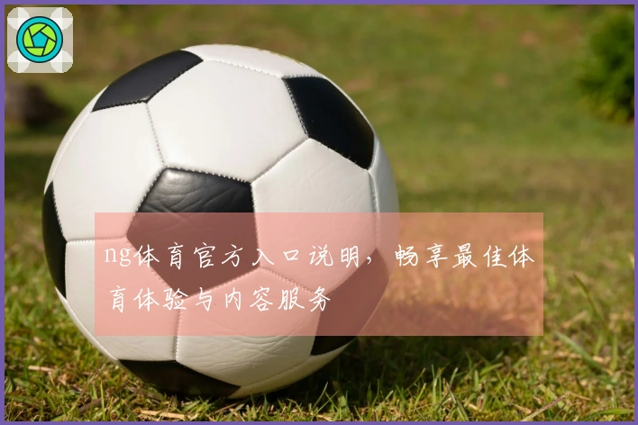 ng体育官方入口说明，畅享最佳体育体验与内容服务